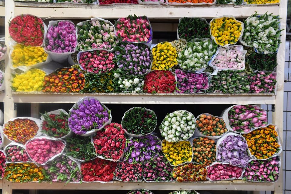 В Запорожской области выявили нарушения при продаже цветов