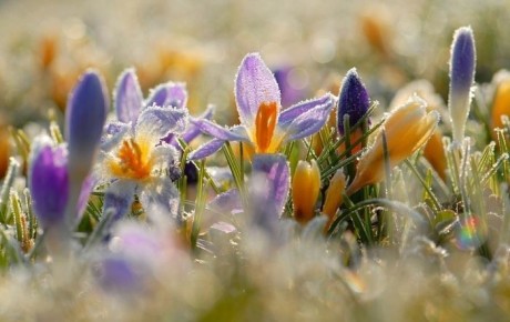 ������ ����. � �� �����, ��� �������