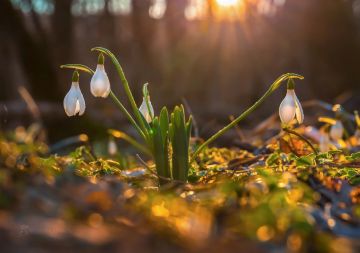 ������ ����. � �� �����, ��� �������