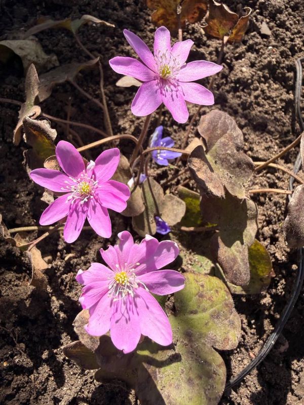 Доброе утро. А вы знали, что сегодня