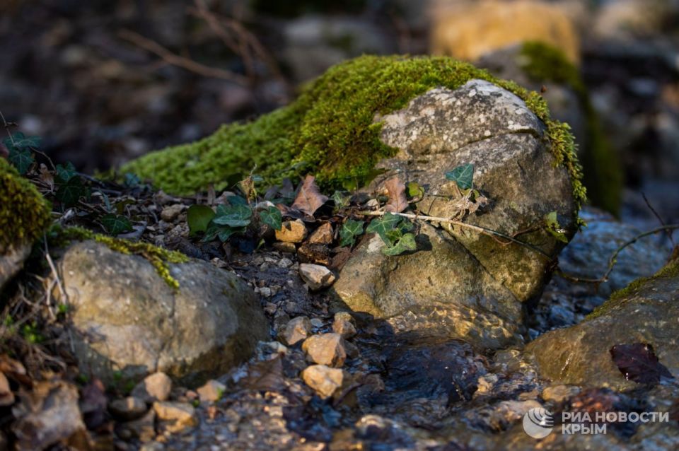 ������ �� ����� ����������� ������