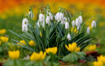 ������ ����. � �� �����, ��� �������