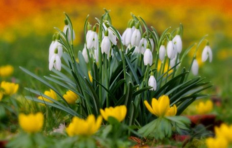 ������ ����. � �� �����, ��� �������