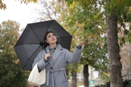 ��������������� ��������� ������ ������� ������� ����������� ������� 22 �����