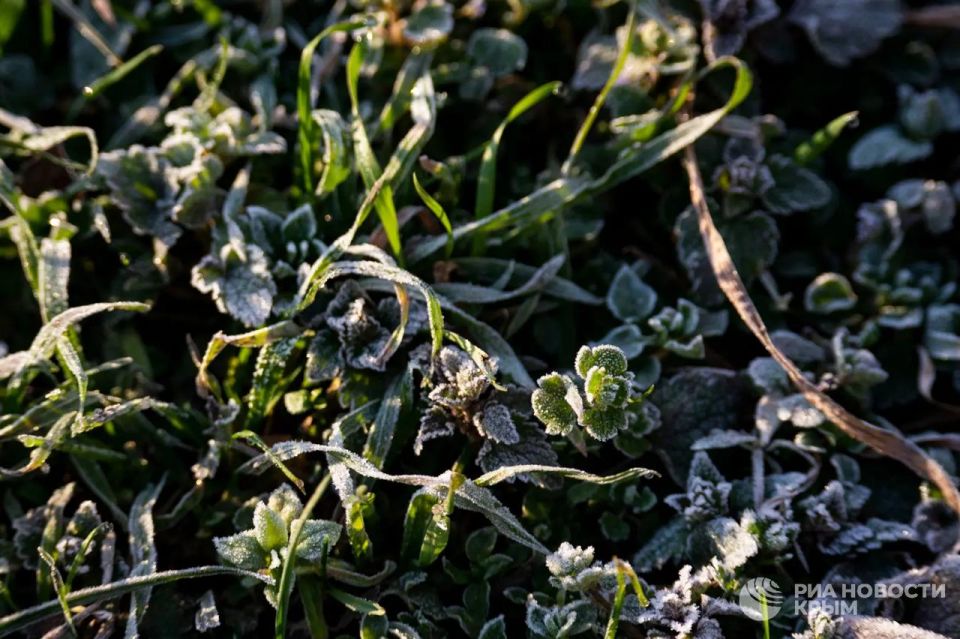 ������ �� ����� ����������� ������