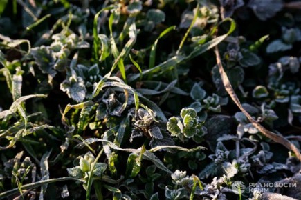 ������ �� ����� ����������� ������