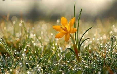 Доброе утро. А вы знали, что сегодня