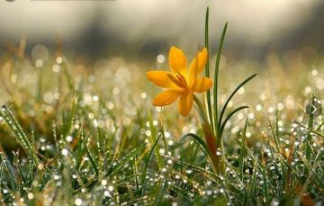 Доброе утро. А вы знали, что сегодня