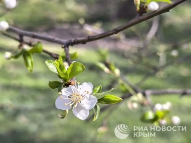 Погода на новых территориях России