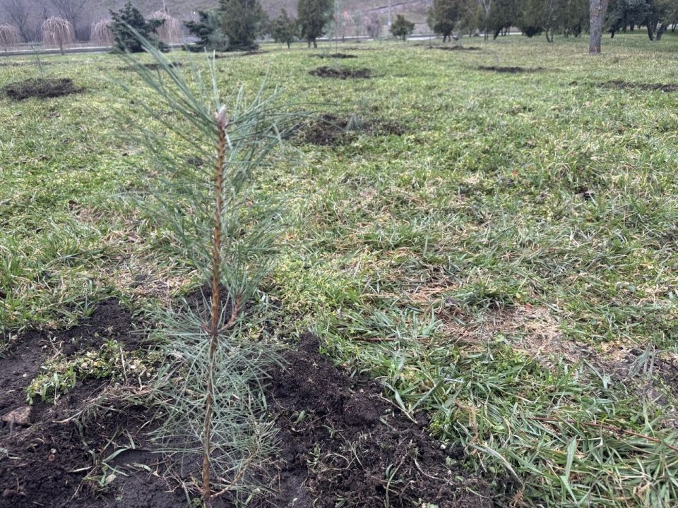 � ��������� �������� ������� ����� � ��������� ������� ������