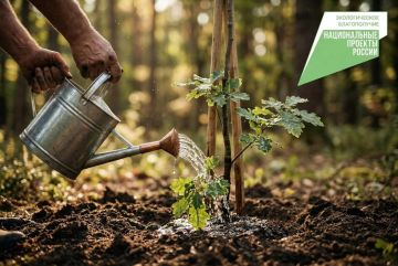 � 2026 ���� ������������ ���� �������� ���, ������������� � ������������ ������������� ������, ����� � ������ ����� ���������� ��������� ���������� ������������ ��������