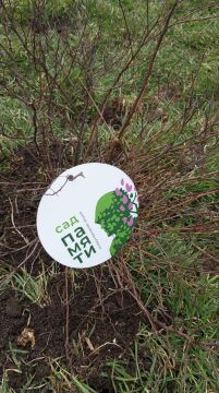 ������������ ������� ������� � ����� ���� ������