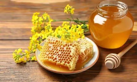 � ������ ������� ����� ���� ��� ��������� ����������� ����