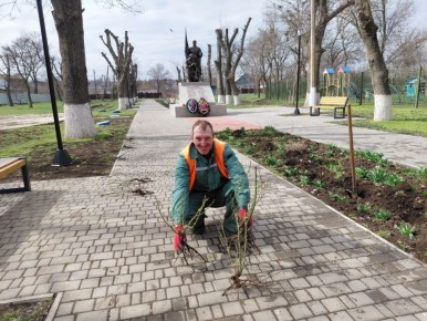 В Парке Победы появилась розовая аллея