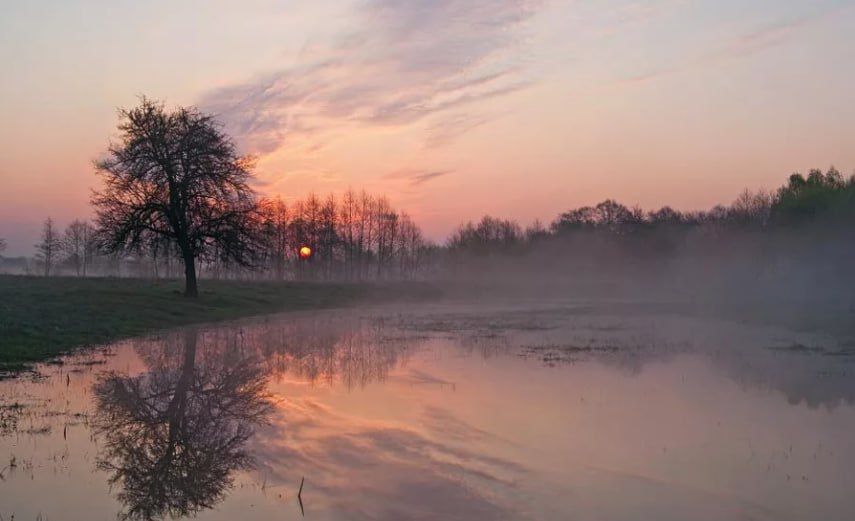 ������ ����. � �� �����, ��� �������