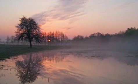 ������ ����. � �� �����, ��� �������