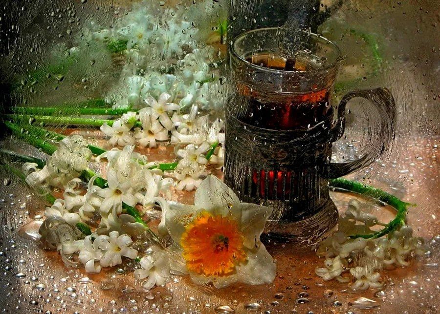 ������ ����. � �� �����, ��� �������