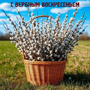 Дорогие жители Бердянского муниципального округа!