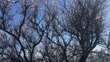 ������� ������ � ��������� � ������ ������� ����� ��� �������� �����