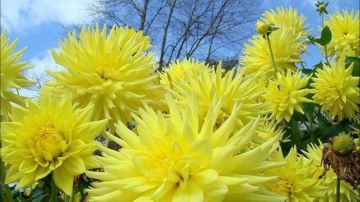 ������ ����. � �� �����, ��� �������