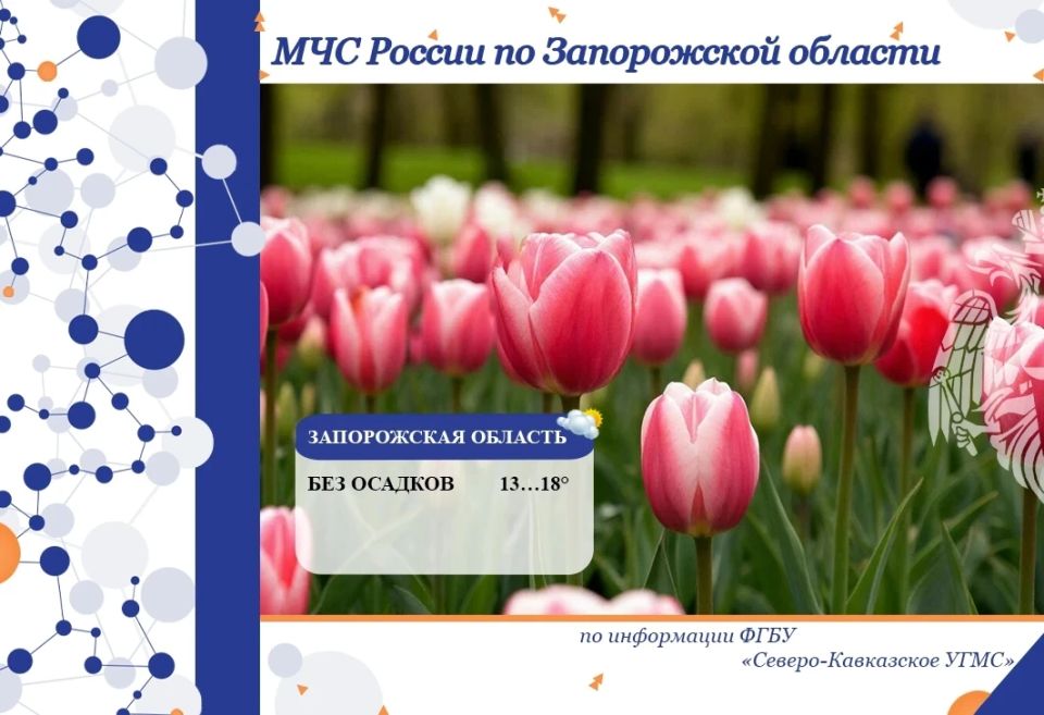 � 14 �� 15 ������ �� ���������� ������� ���������: