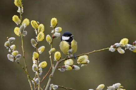 ������ ����. � �� �����, ��� �������