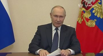 ���� �������: ���������� ���� ������ ������ ���� �������� �������������, ����������� ������� � �������� ������������� ������������, ���������� �� ���������� ���������� � ������� �������, � �������� �����