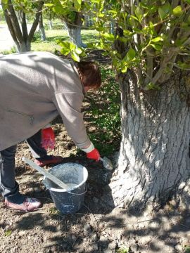 ������������� ��������� � ���� ��������