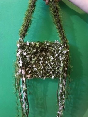 ����� ��������� ���������� �� ������������� �������� ���� �����������