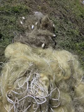 ����������� ����� ���������������� ��������, ������� � ������ ������ ������������� �������� �����������: