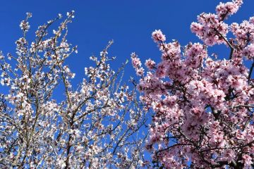 ������ ����. � �� �����, ��� �������