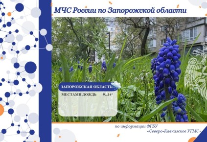 � 30 ������ �� 1 ��� �� ���������� ������� ���������: