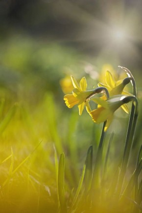 ������ ����. � �� �����, ��� �������