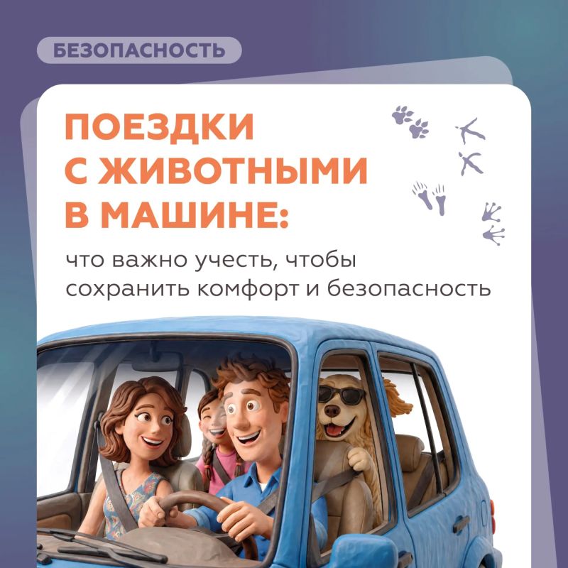 Собираетесь в путешествие на автомобиле с домашними питомцами?