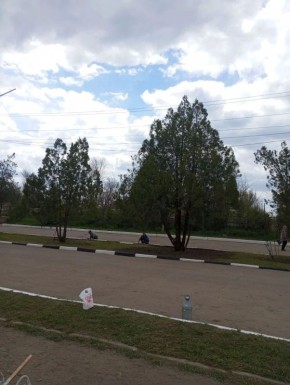 Жители Николаевки провели общественную уборку