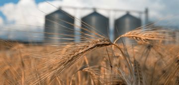 � ������ ����� ������: ������������ �� ���������� ����������� ���� � ������ ������