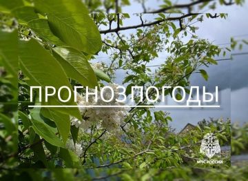 � 23 �� 24 ��� �� ���������� ����������� ������� ���������: