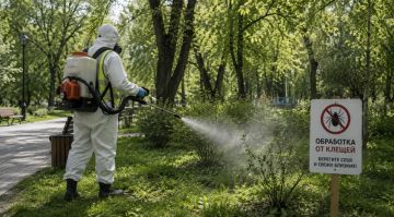 В Бердянске начали обрабатывать город от насекомых