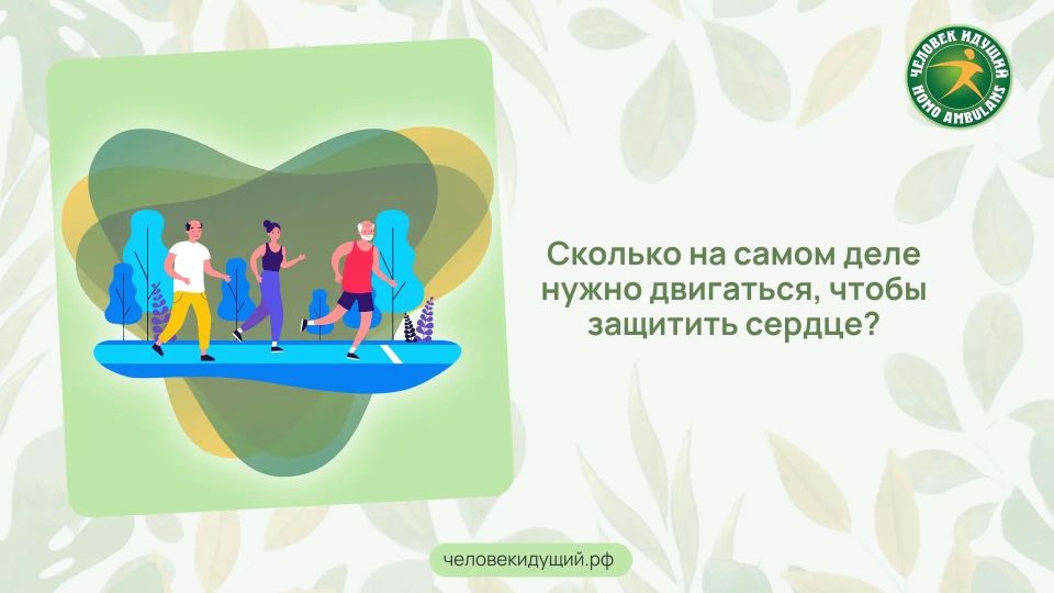Исследование с участием 17 000 человек, носивших трекеры, подтверждает: 150 минут умеренной активности в неделю снижают риск сердечно-сосудистых заболеваний примерно на 8-9%