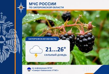 С 9 на 10 июля на территории региона ожидается: