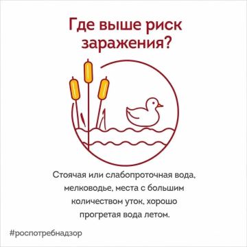 ���������� �������: ��������������� ����������� � ����� ������������ �������������� ���������