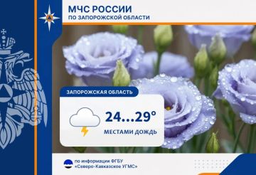 С 25 на 26 июля на территории региона ожидается: