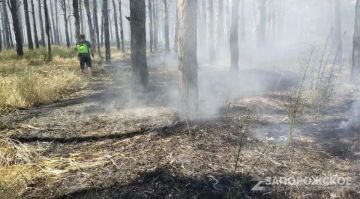 В Запорожской области объявили экстренное предупреждение о чрезвычайной пожароопасности