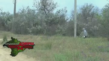 ��� ��������� � ���������� ������� ����������� ������, ������� ���������� �������� ���������� ������� ������, ��������������� ��� ���������