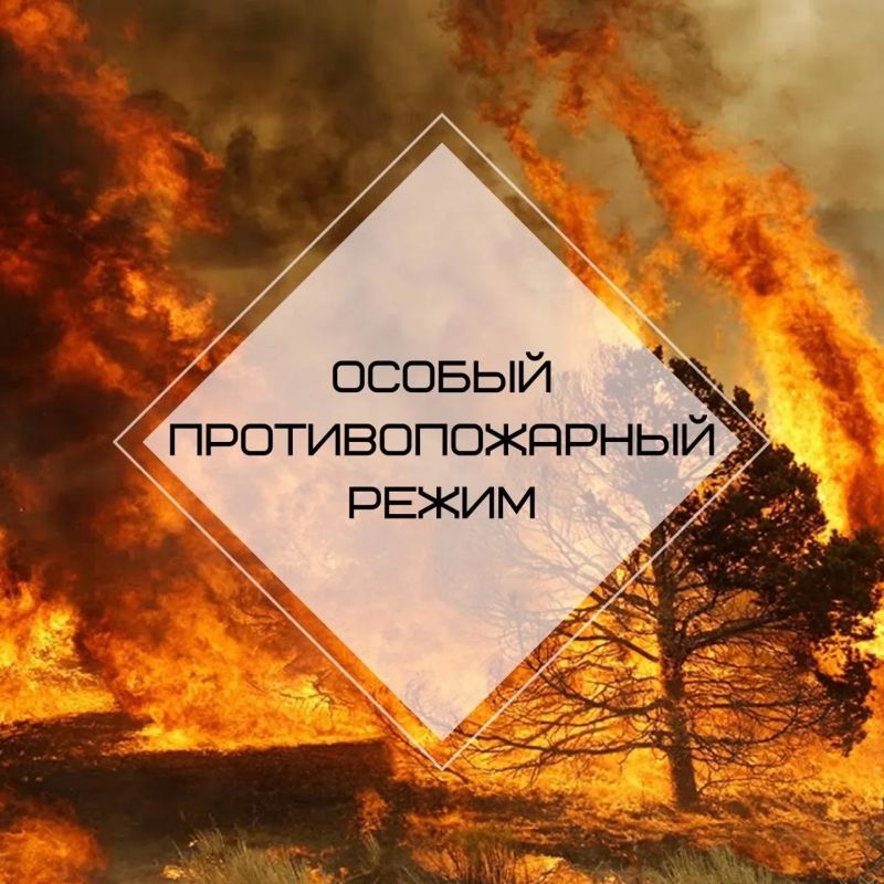 Об установлении особого противопожарного режима
