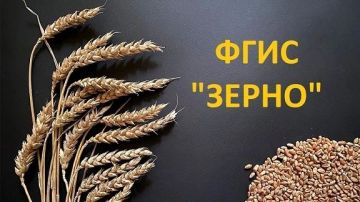 Как получить номера партии и СДИЗ у оператора системы для пользователей ЛНР, ДНР, Херсонской и Запорожской областей, Республики Крым и г. Севастополь