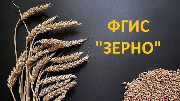 Как получить номера партии и СДИЗ у оператора системы для пользователей ЛНР, ДНР, Херсонской и Запорожской областей, Республики Крым и г. Севастополь