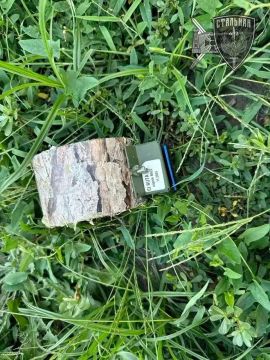 В Запорожской области обнаружены новые опасные мины