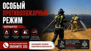 � ����������� ������� ����� ������ ��������������� �����, ������� ��������� �� 31 ������� 2026 ����
