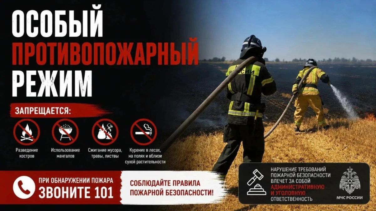 В Запорожской области введён особый противопожарный режим, который продлится по 31 октября 2026 года